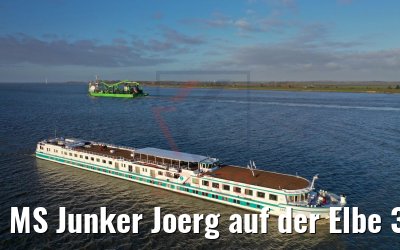 MS Junker Joerg auf der Elbe 31.12.2019