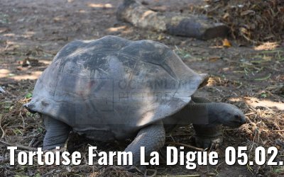 Tortoise Farm La Digue 05.02.2024