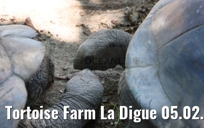 Tortoise Farm La Digue 05.02.2024