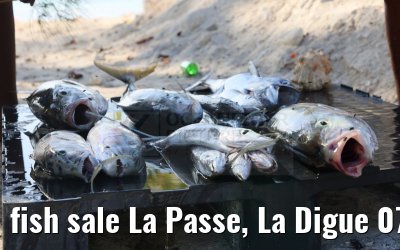 fish sale La Passe, La Digue 07.02.2024