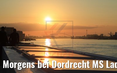 Morgens bei Dordrecht MS Lady Diletta 02.09.2020