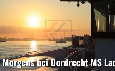 Morgens bei Dordrecht MS Lady Diletta 02.09.2020