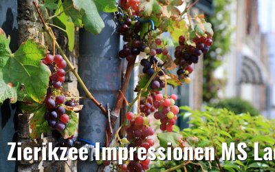 Zierikzee Impressionen MS Lady Diletta 03.09.2020