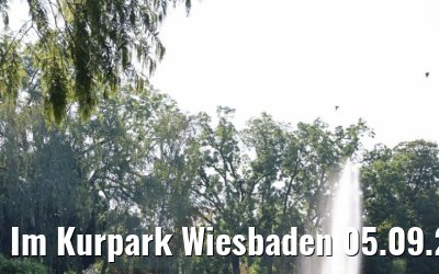 Im Kurpark Wiesbaden 05.09.2021