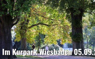 Im Kurpark Wiesbaden 05.09.2021