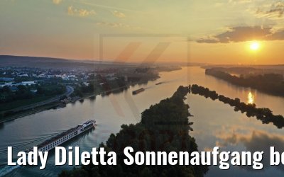 Lady Diletta Sonnenaufgang bei Eltville 05.09.2021