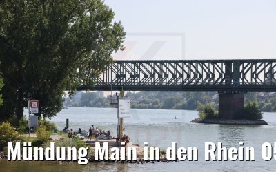 Mündung Main in den Rhein 05.09.2021