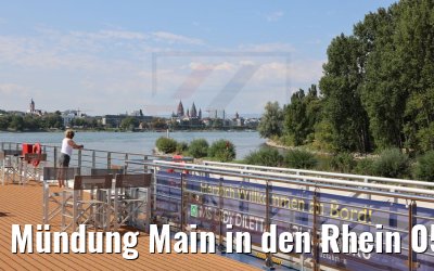 Mündung Main in den Rhein 05.09.2021
