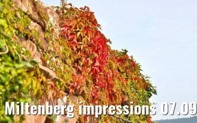 Miltenberg impressions 07.09.2021