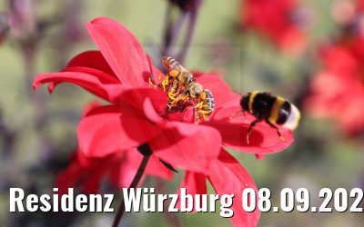 Residenz Würzburg 08.09.2021