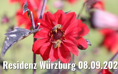 Residenz Würzburg 08.09.2021