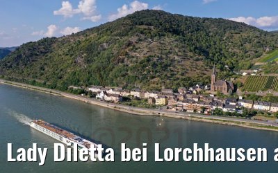 Lady Diletta bei Lorchhausen am Rhein 04.09.2021