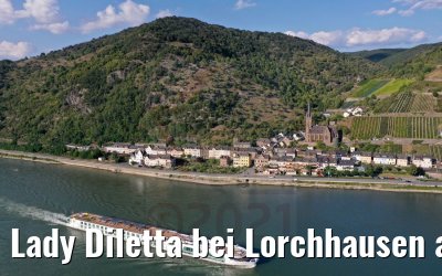 Lady Diletta bei Lorchhausen am Rhein 04.09.2021