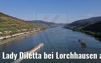 Lady Diletta bei Lorchhausen am Rhein 04.09.2021
