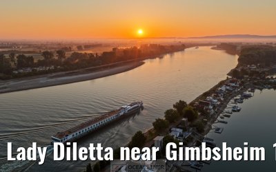 Lady Diletta near Gimbsheim 19.05.2025 sunrise