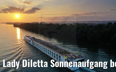 Lady Diletta Sonnenaufgang bei Eltville 05.09.2021
