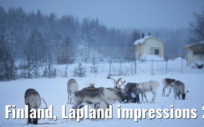 Finland, Lapland impressions 24.12.2024