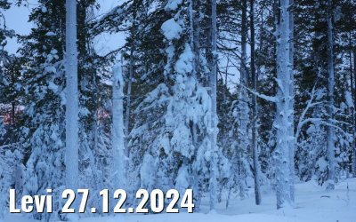 Levi 27.12.2024