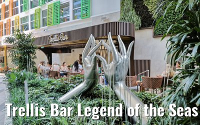 Trellis Bar Legend of the Seas