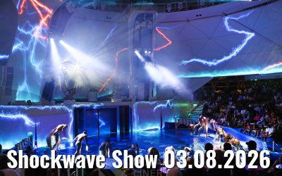 Shockwave Show 03.08.2026