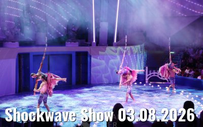 Shockwave Show 03.08.2026