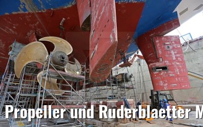 Propeller und Ruderblaetter MS Artania 23.10.2014