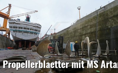 Propellerblaetter mit MS Artania 22.10.2014