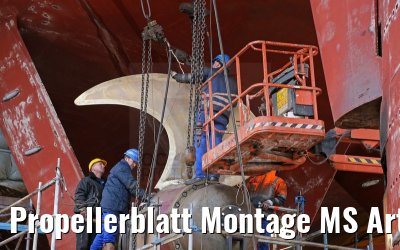 Propellerblatt Montage MS Artania 22.10.2014