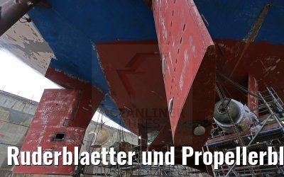 Ruderblaetter und Propellerblatt MS Artania 22.10.2014