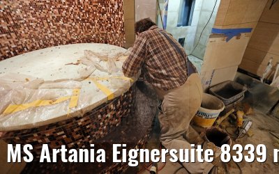 MS Artania Eignersuite 8339 neues Bad 24.11.2014