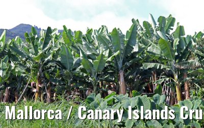 Mallorca / Canary Islands Cruise ADVENTURE OF THE SEAS October 2011