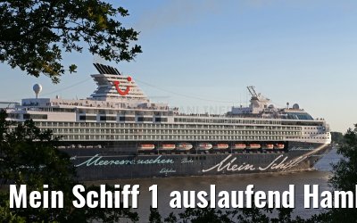 Mein Schiff 1 auslaufend Hamburg 01.07.2015