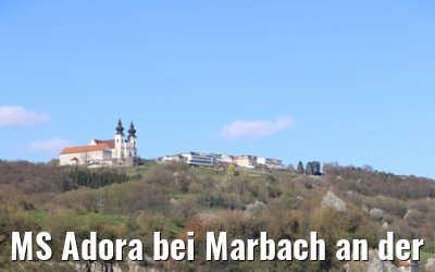 MS Adora bei Marbach an der Donau mit Maria Taferl 06.04.2019