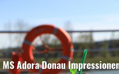 MS Adora Donau Impressionen 06.04.2019