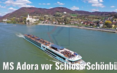 MS Adora vor Schloss Schönbühel an der Donau 06.04.2019