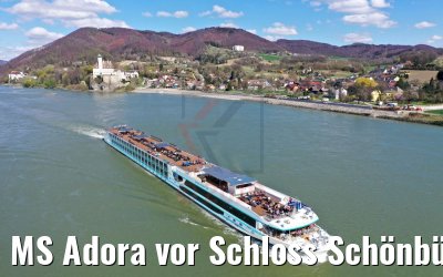 MS Adora vor Schloss Schönbühel an der Donau 06.04.2019