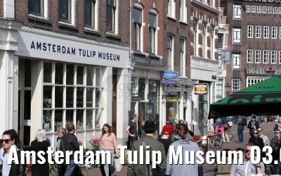 Amsterdam Tulip Museum 03.04.2016
