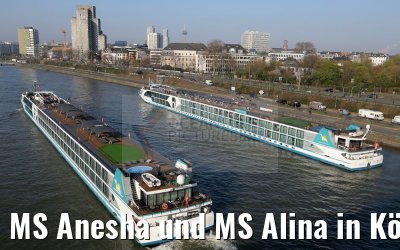 MS Anesha und MS Alina in Köln 09.04.2016