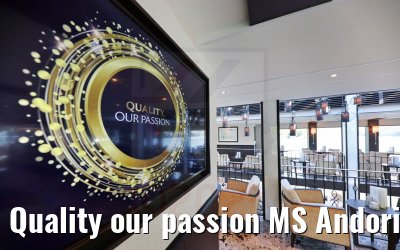 Quality our passion MS Andorinha