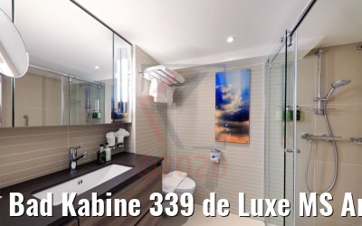 Bad Kabine 339 de Luxe MS Andrea