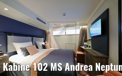 Kabine 102 MS Andrea Neptundeck