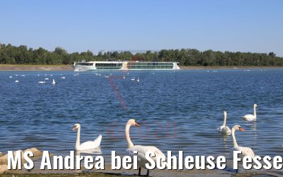 MS Andrea bei Schleuse Fessenheim 12.07.2020
