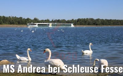 MS Andrea bei Schleuse Fessenheim 12.07.2020