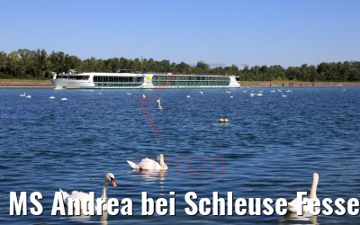 MS Andrea bei Schleuse Fessenheim 12.07.2020