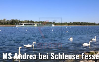MS Andrea bei Schleuse Fessenheim 12.07.2020