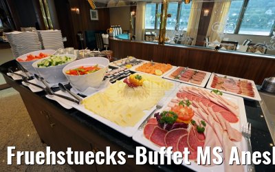 Fruehstuecks-Buffet MS Anesha 26.06.2015