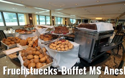 Fruehstuecks-Buffet MS Anesha 26.06.2015