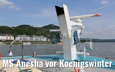 MS Anesha vor Koenigswinter