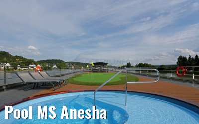 Pool MS Anesha