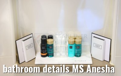 bathroom details MS Anesha